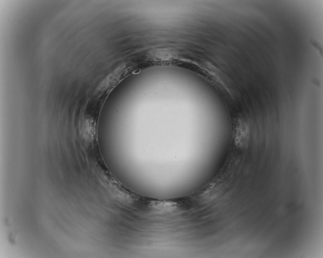 X0000102830476200808251138