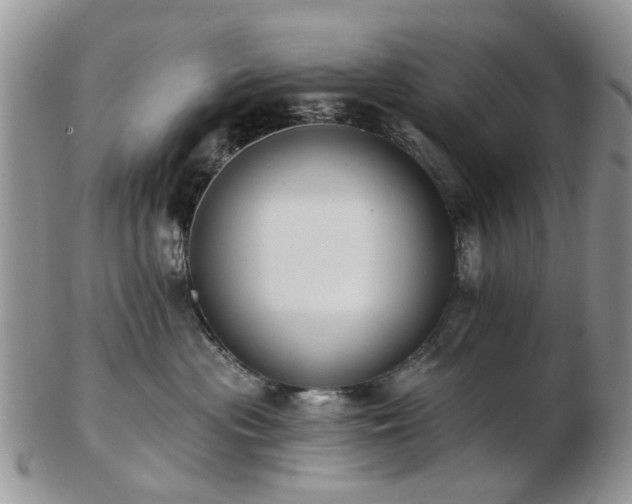 X0000102830477200808251138