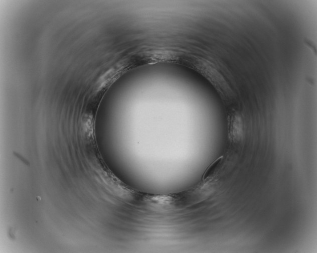 X0000102830478200808251138