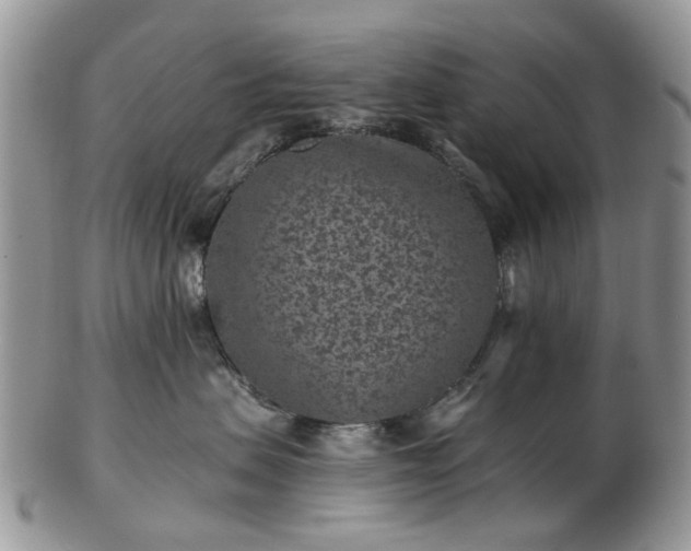 X0000102830479200808251138