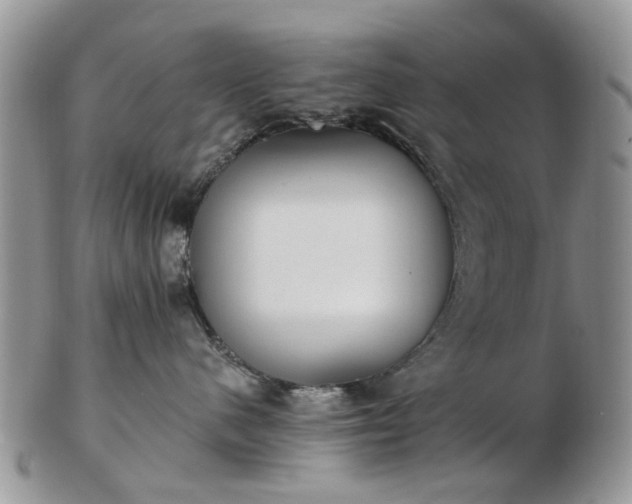 X0000102830480200808251138