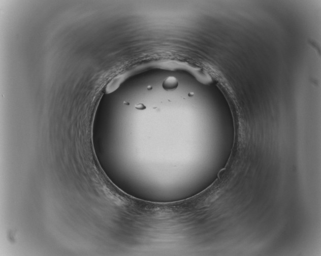 X0000102830481200808251137