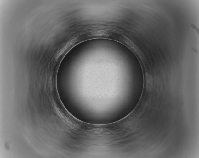 X0000102830482200808251137