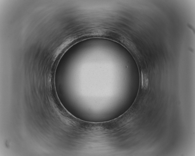 X0000102830483200808251137