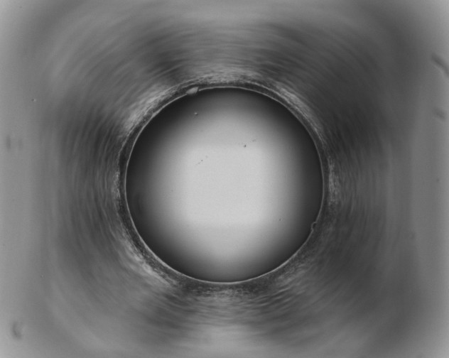 X0000102830485200808251137