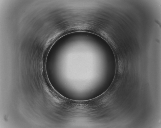 X0000102830486200808251137