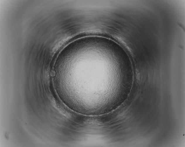 X0000102830487200808251137