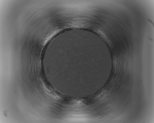 X0000102830488200808251137