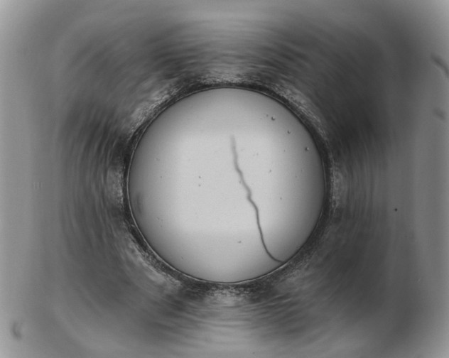 X0000102830489200808251137