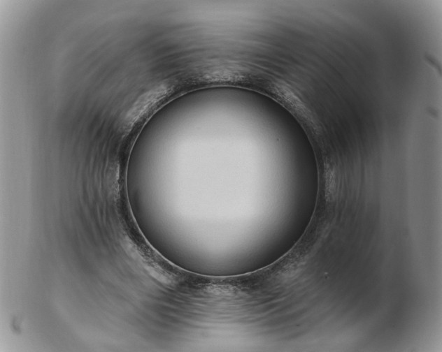 X0000102830490200808251137