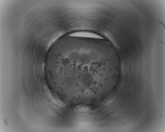 X0000102830491200808251137