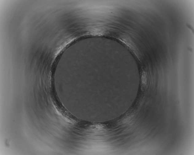 X0000102830492200808251137