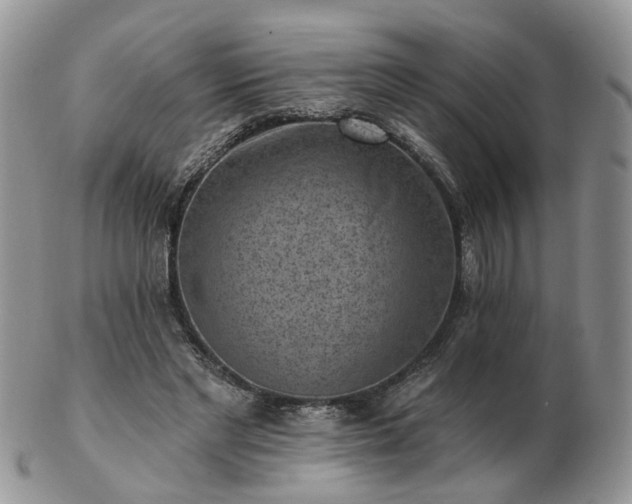 X0000102830493200808251137