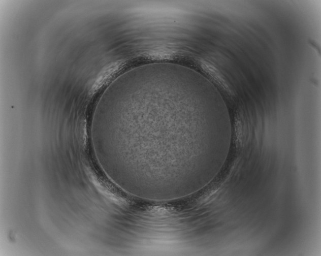 X0000102830494200808251137