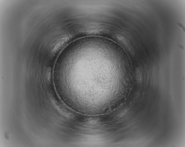 X0000102830495200808251137