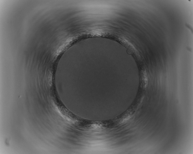 X0000102830496200808251137