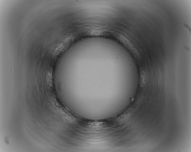 X0000102830497200808251137