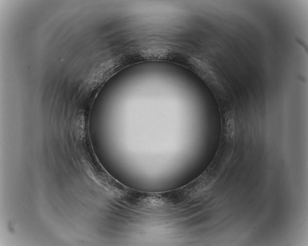 X0000102830498200808251137