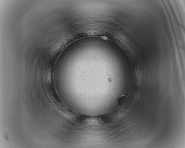 X0000102830499200808251137