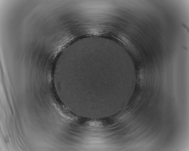 X0000102830500200808251137