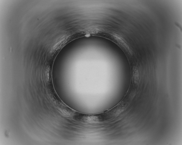 X0000102830501200808251137