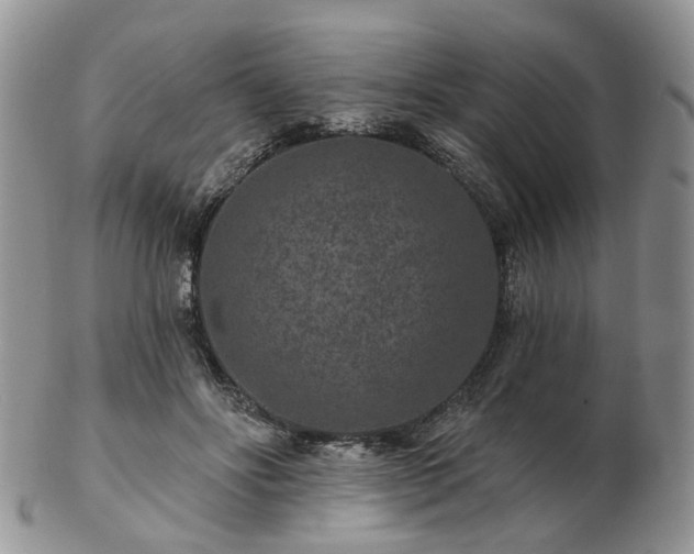 X0000102830502200808251137