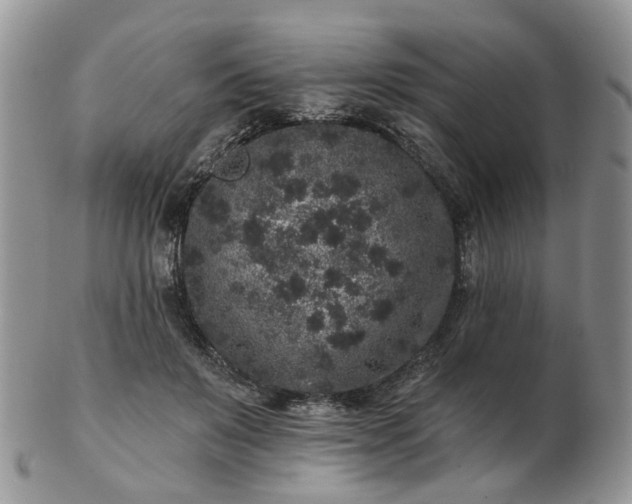 X0000102830503200808251137