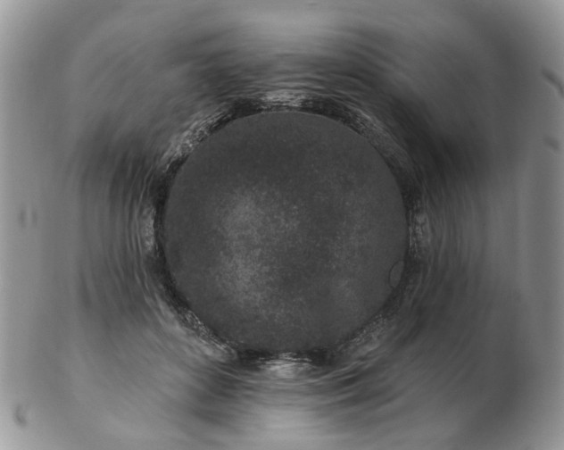 X0000102830504200808251137