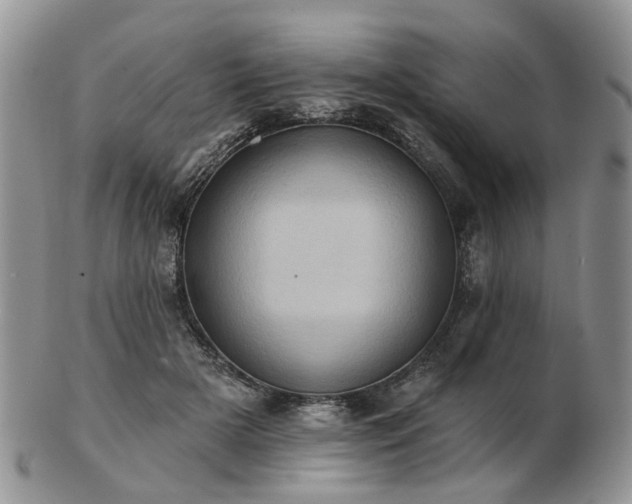 X0000102830505200808251137