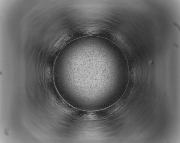 X0000102830506200808251137