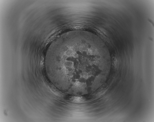 X0000102830507200808251137