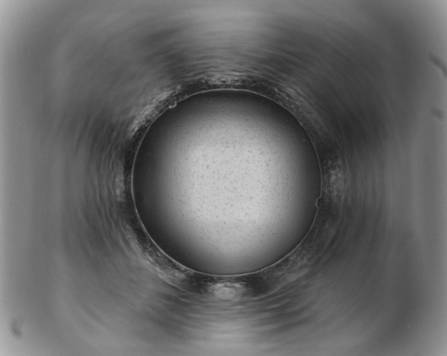 X0000102830508200808251137