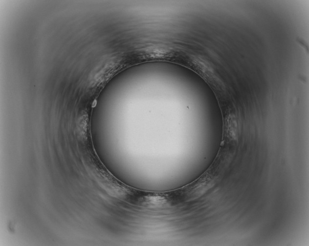 X0000102830509200808251137