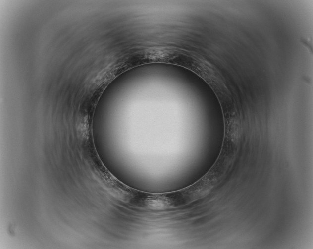 X0000102830510200808251137