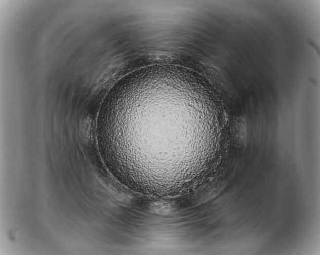 X0000102830511200808251137