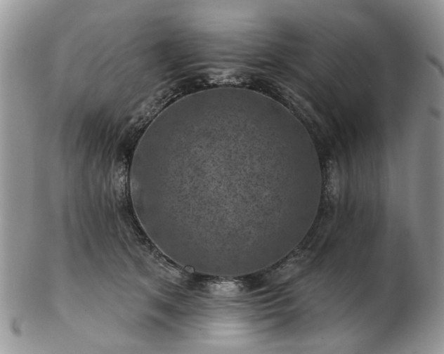 X0000102830513200808251137