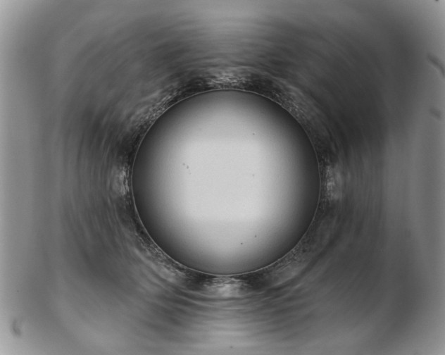 X0000102830514200808251137