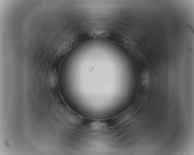 X0000102830515200808251137