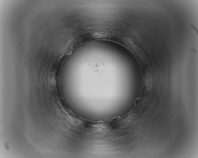 X0000102830516200808251137