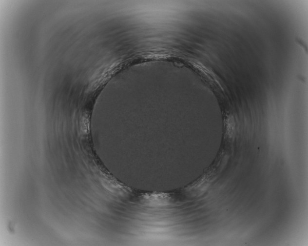 X0000102830517200808251137