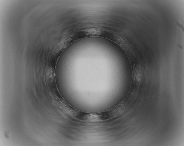 X0000102830518200808251136