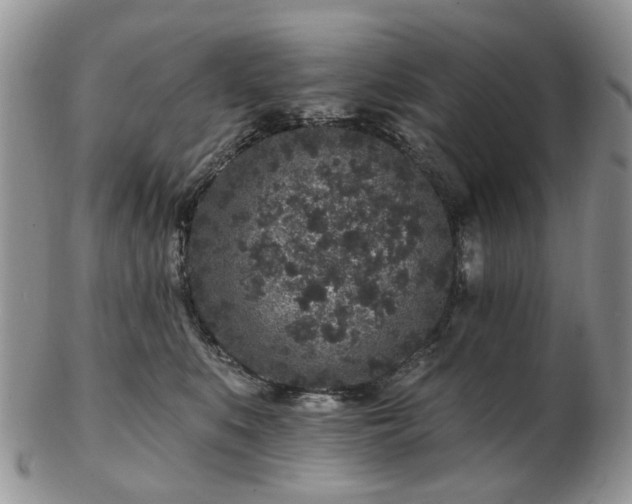 X0000102830519200808251136