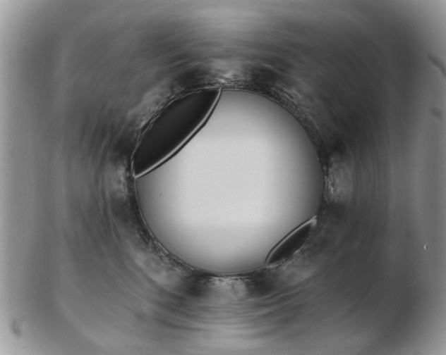 X0000102830520200808251136