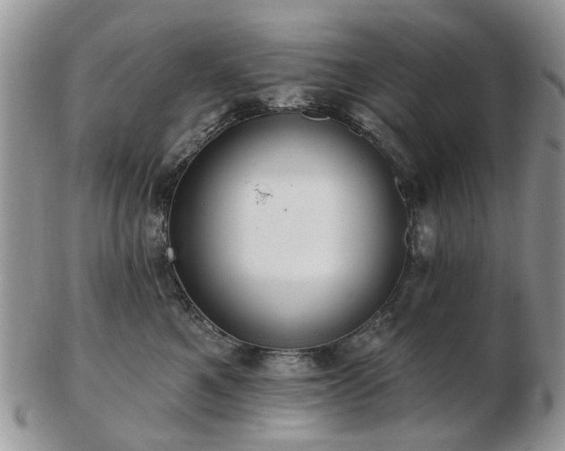 X0000102830521200808251136