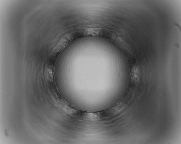 X0000102830522200808251136