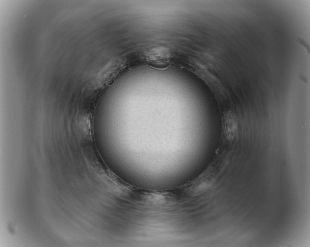 X0000102830523200808251136