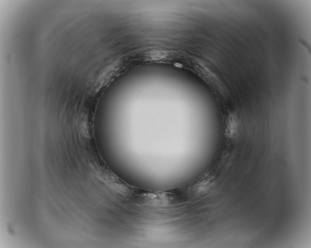 X0000102830524200808251136