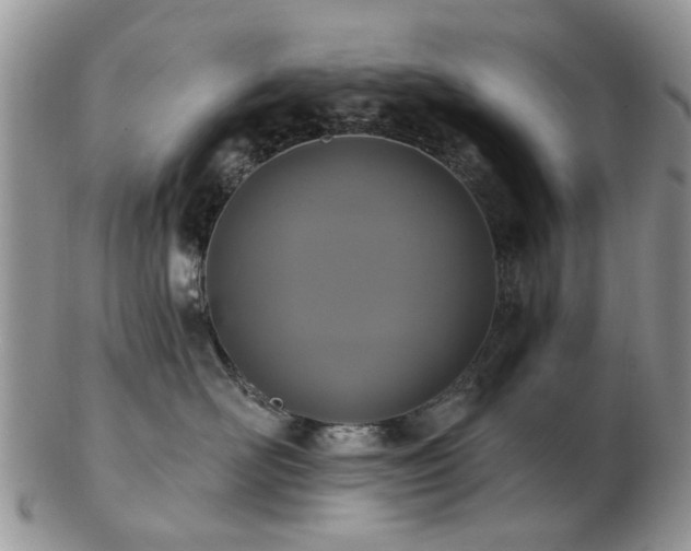 X0000102830526200808251136