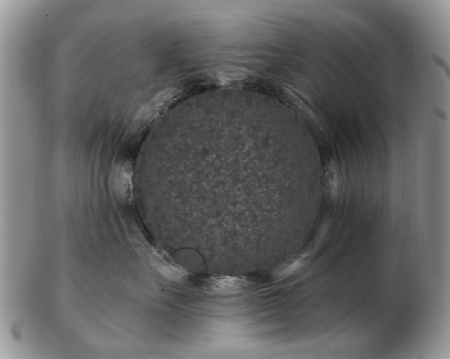 X0000102830527200808251136