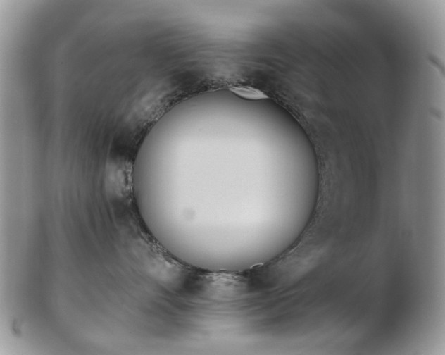 X0000102830528200808251136